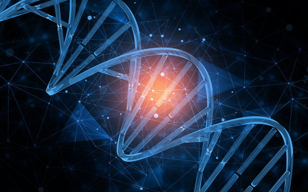 Wozu dient DNS und wie wird es verwendet?