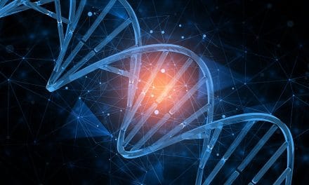 Wozu dient DNS und wie wird es verwendet?