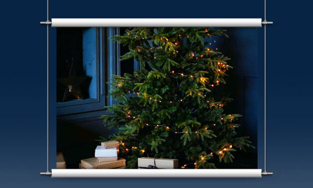 Deal: Hombli Smarte Lichterkette im Doppelpack jetzt mit 70 % Rabatt